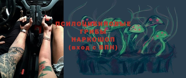 герыч Бронницы