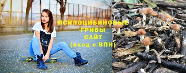 герыч Бронницы