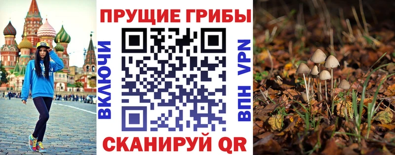 hydra рабочий сайт  где купить наркотик  Можайск  Галлюциногенные грибы MAGIC MUSHROOMS 