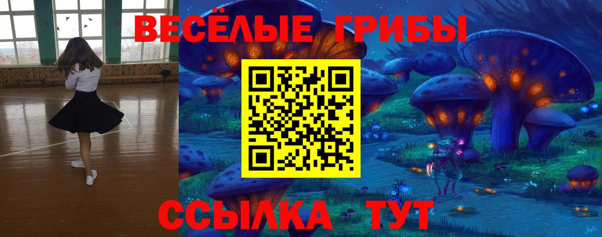 Галлюциногенные грибы мухоморы  Вход с VPN  Можайск 