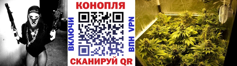 Конопля White Widow купить наркотик Можайск